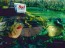Bud Frogs II (Unframed)