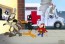 Looney Tunes Emergency
