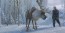 Epic Journey By Jim Salvati
