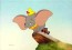 Dumbo and Crows - Learning to Fly
