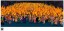 Mob with Torches