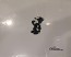 Felix the Cat signed OPC: Oh My! (INV84444)