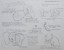 Disney Publication Model Sheet: Dumbo