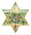 A Star of Serenity by Charles Fazzino
